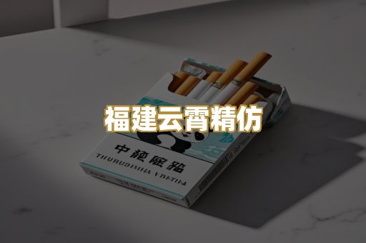 福建云霄精仿